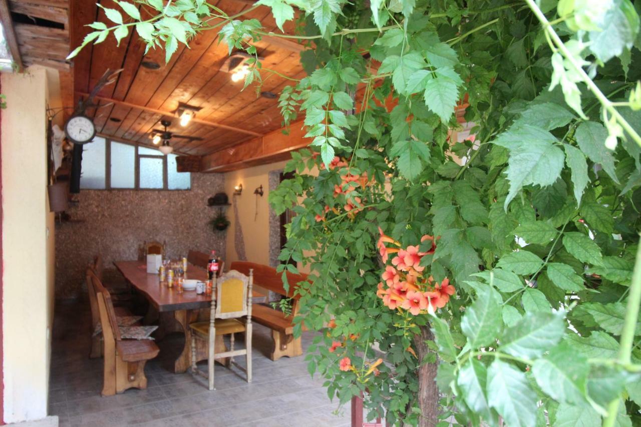 Apartmani Irena Novi Vinodolski Bagian luar foto